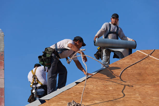 Best Commercial Roofing Services  in Warrensburg, MO